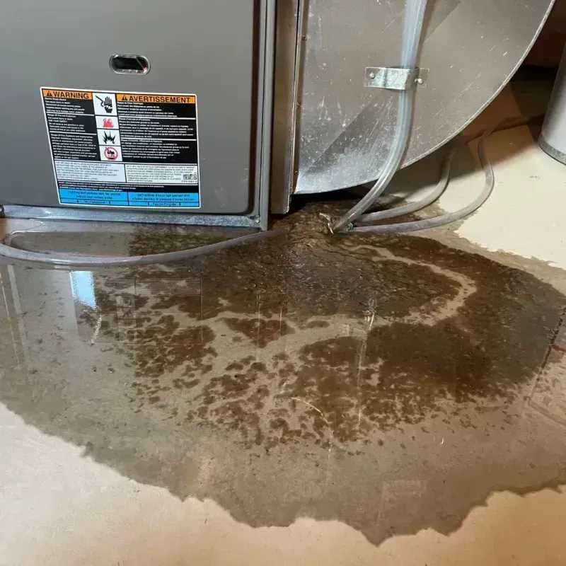 Appliance Leak Cleanup in Eastman, GA